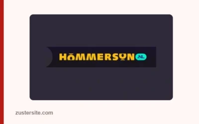 Hommerson en H-Online: geschiedenis, vergunning en klachten