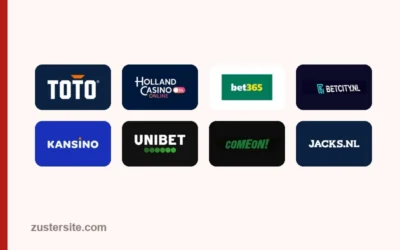 Nederlandse onlinevergunningen: houders, domeinen en einddatums