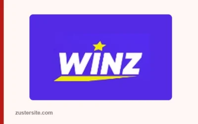 Winz en Orange Gaming: geschiedenis, vergunning en klachten
