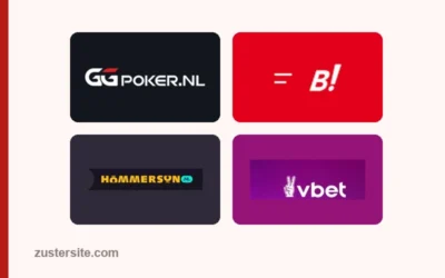 Eén website op een vergunning betekent niet: geen zustersites
